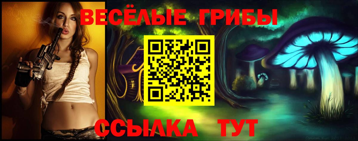 Галлюциногенные грибы GOLDEN TEACHER Сегежа
